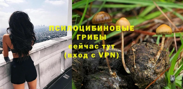 стафф Верея