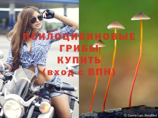 а пвп мука Верхнеуральск