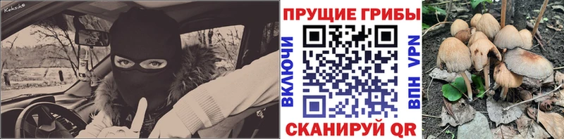 Галлюциногенные грибы MAGIC MUSHROOMS  что такое   Каргополь 